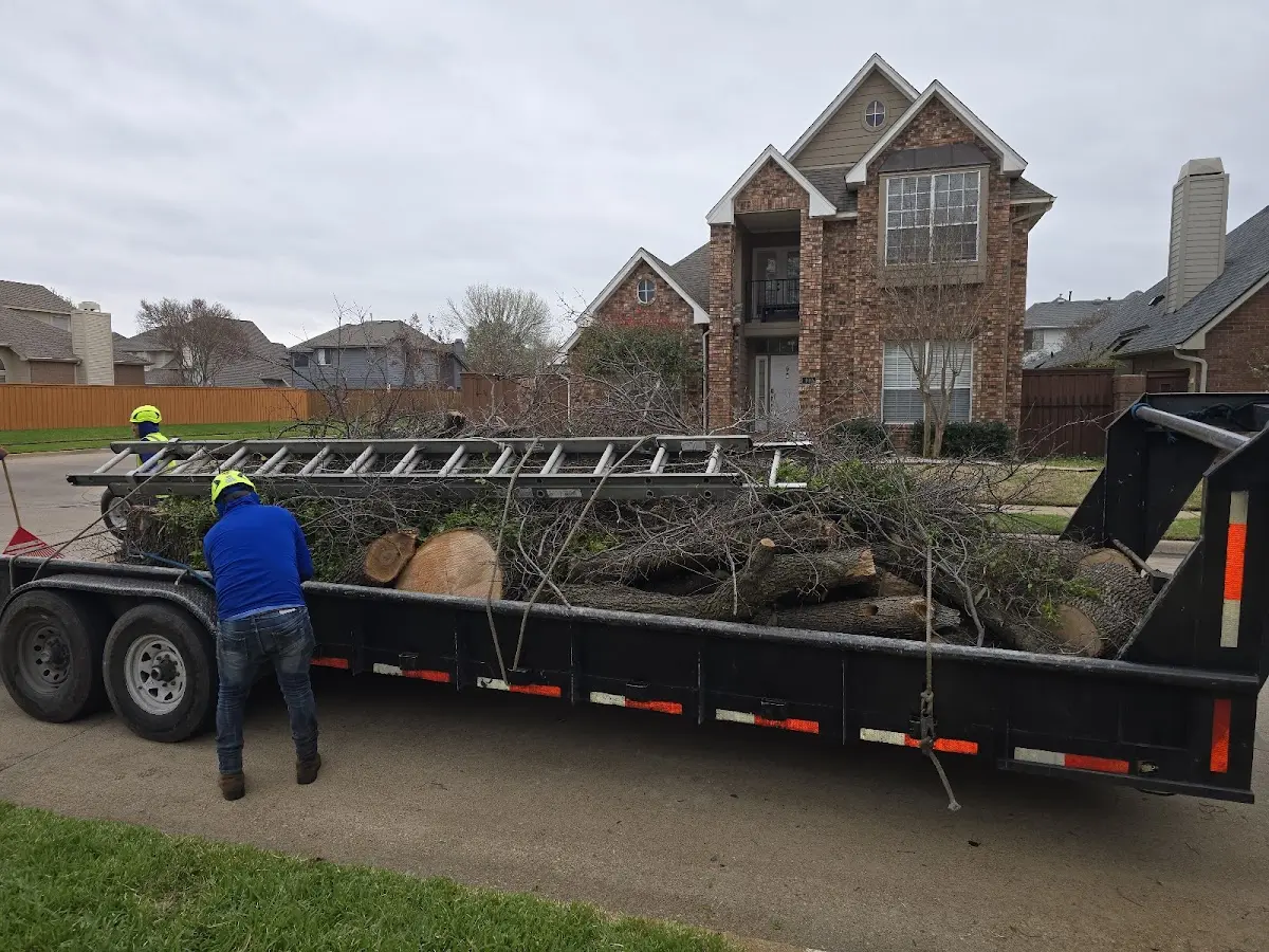 Expert Tree Fertilization with proper safety equipment in Lafe